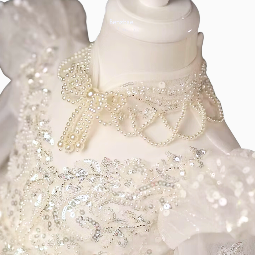 Rayna Light Luxury Princess Ball Gown