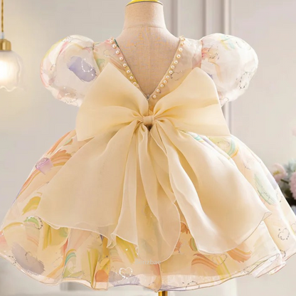 Yanish Blessing Princess Dress